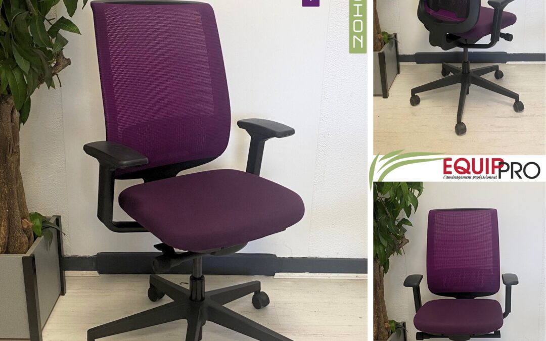 Fauteuil de bureau ergonomique occasion